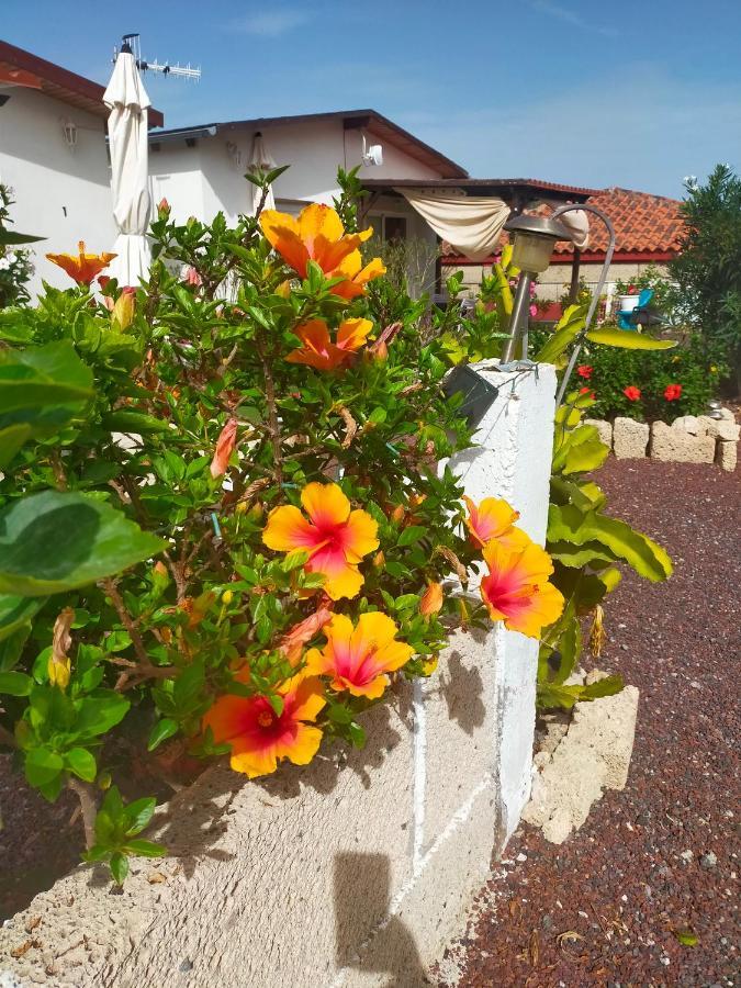 גרנדילה דה אבונה Villa Daita 1 מראה חיצוני תמונה