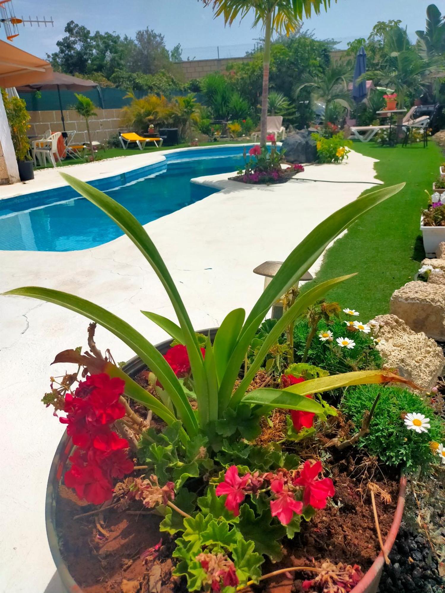 גרנדילה דה אבונה Villa Daita 1 חדר תמונה