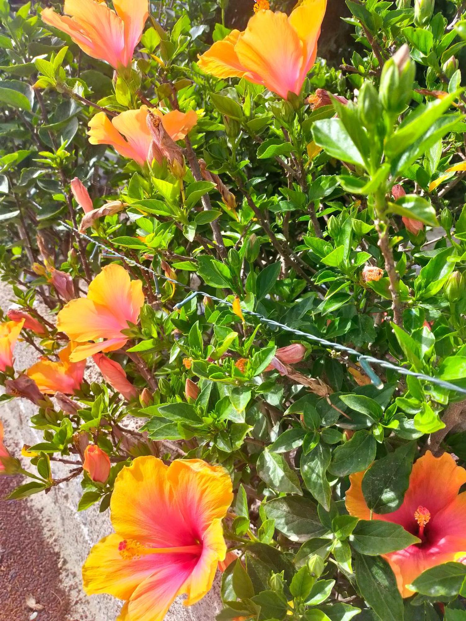 גרנדילה דה אבונה Villa Daita 1 חדר תמונה